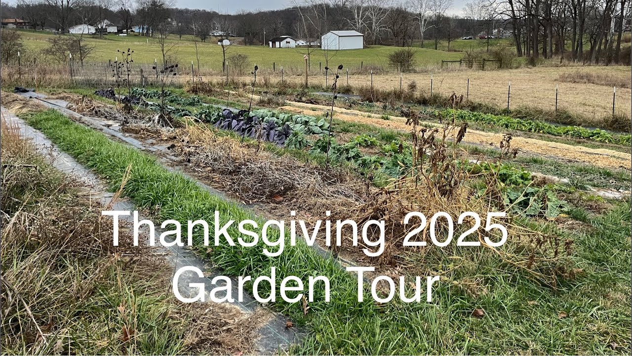 Thanksgiving 2025 Garden Tour! 