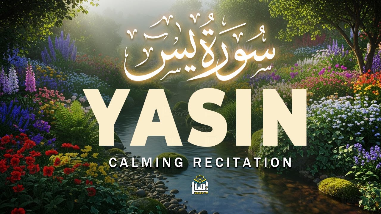Surah Yasin (Yaseen) سورة يس | Beautiful Quran for Deep Reflection | Basair TV