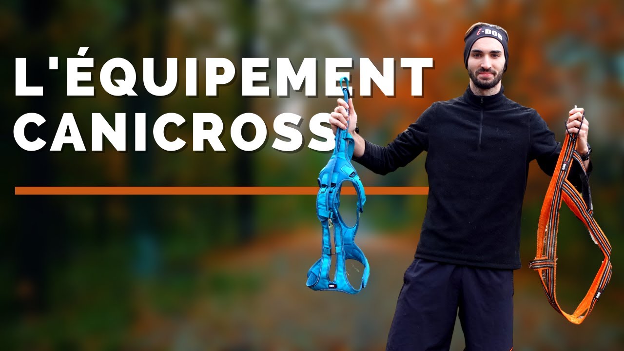 COMMENT S'ÉQUIPER EN CANICROSS ?