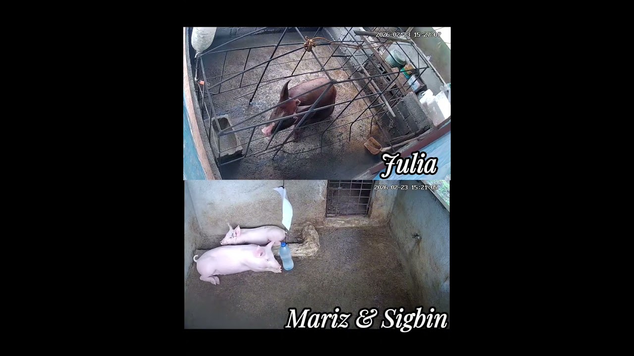 184 days old (Julia)                                                   103 days old (Sigbin & Mariz)