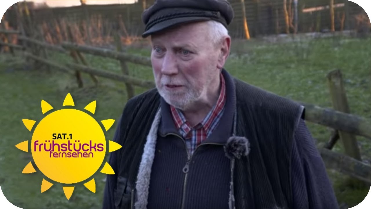 Mann mit gebrochenem Herz: Sein Hund wurde BESCHLAGNAHMT! | SAT.1 Frühstücksfernsehen | TV