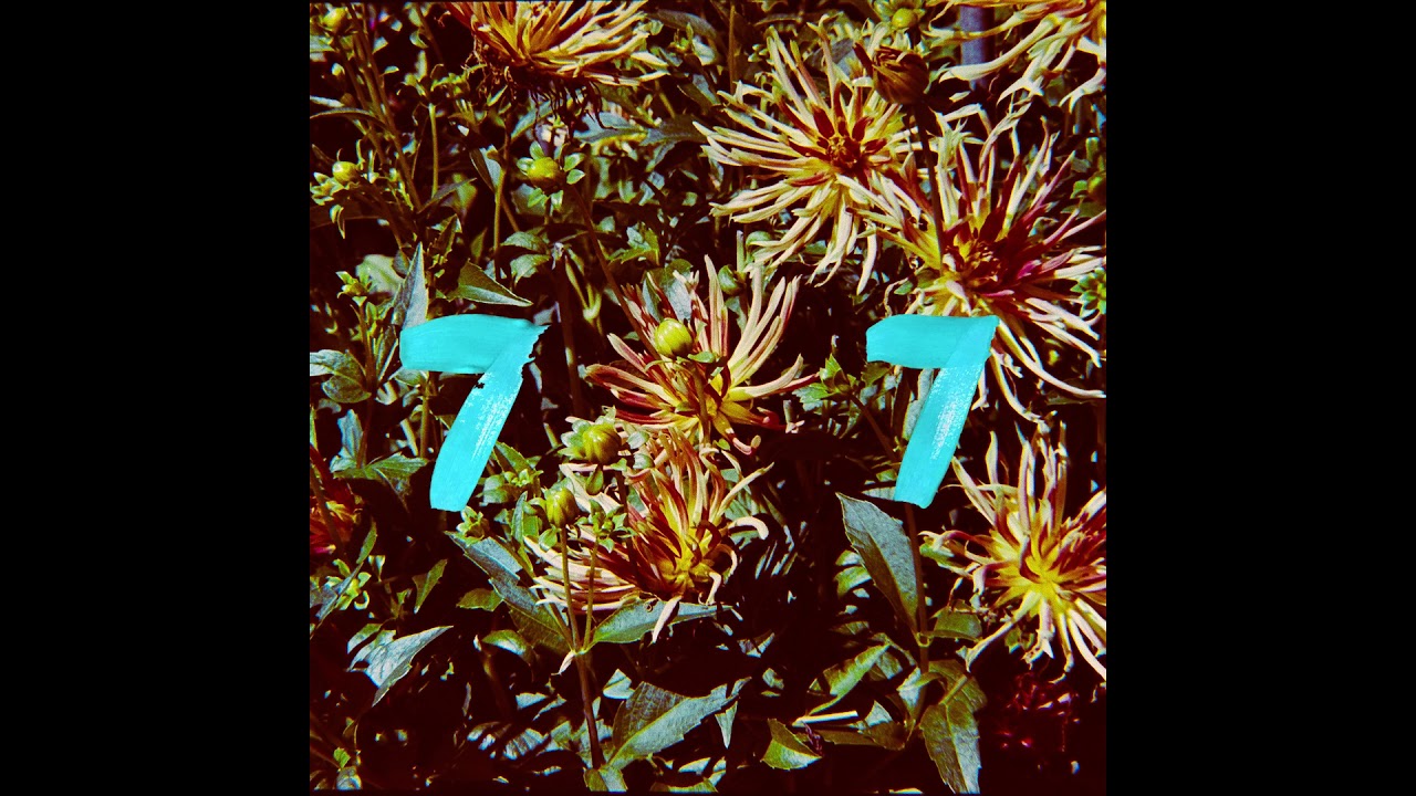 B77 - fleur [Full Album]