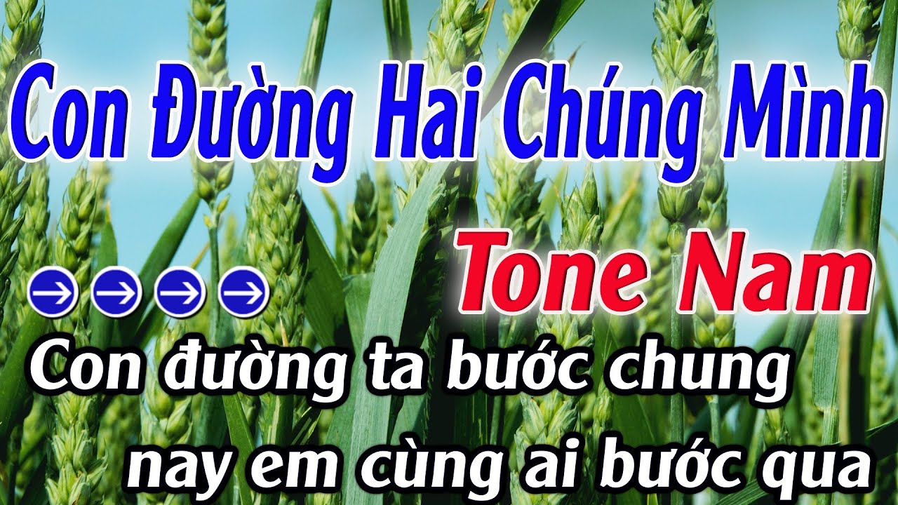 Karaoke Con Đường Hai Chúng Mình  Karaoke Tone Nam Beat Hay Nhất 2025 Karaoke Mê Nhạc Sống
