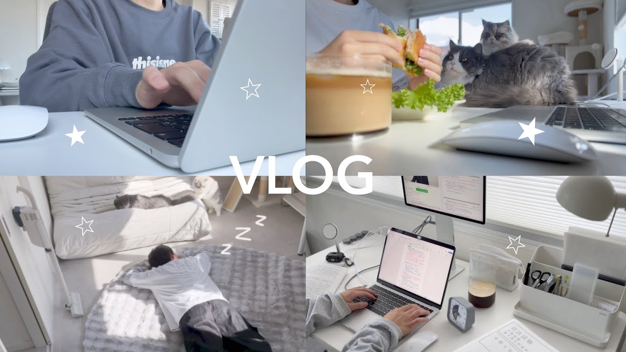 *STUDY VLOG // Одна неделя из жизни абитуриента, готовящегося к судебному экзамену