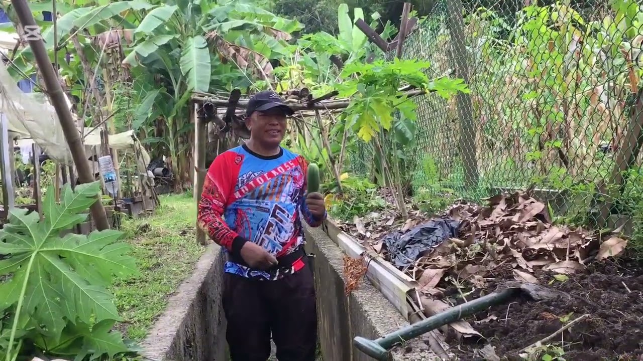 BARIKO ORGANIC BESAR KHANDAI XU. 
