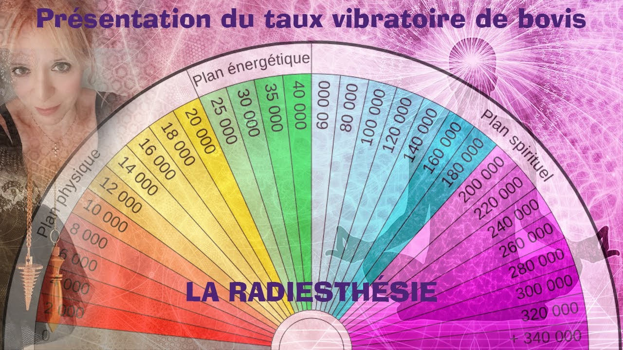 7 - LA RADIESTHESIE - CADRAN DE BOVIS