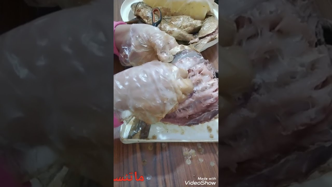 علاج الفسيخ الناشف بطريقة #احمد_أبو_رجب قناة عالم الفسيخ والاسماك تعالو نشوف نجحت ولا لأ