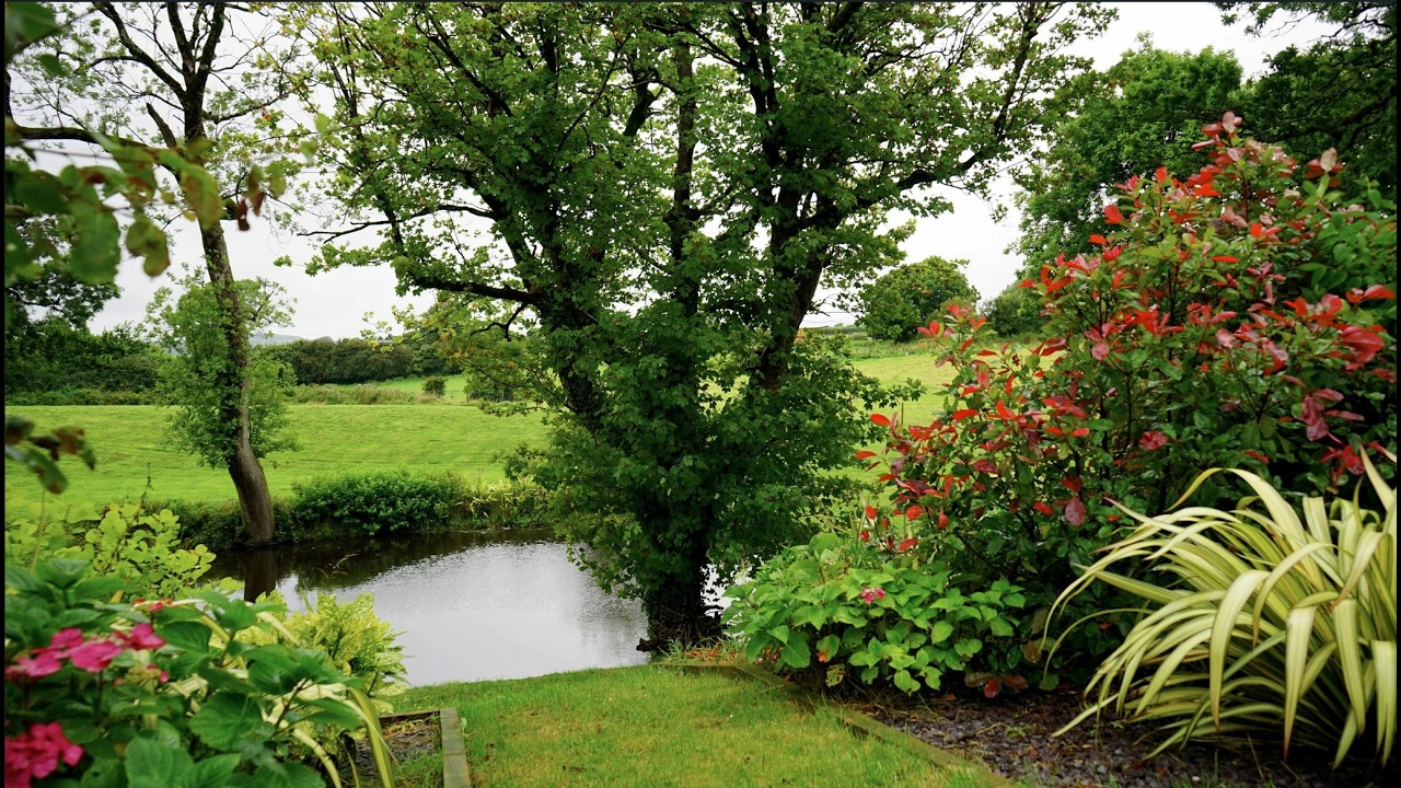 Whistful Gardens - Relaxing Piano & Birds for Study, Sleep & Anxiety Relief