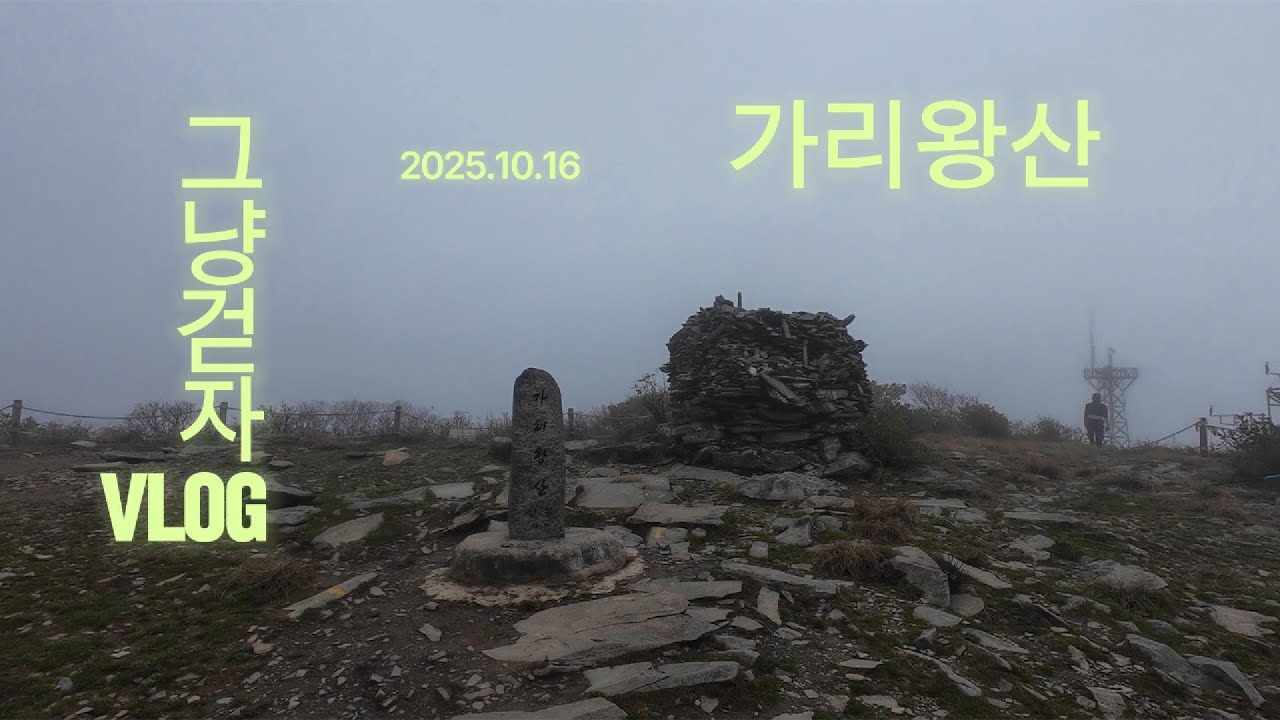 강원 정선 가리왕산 등산 | 2025강원20 | 산행 브이로그 | 등산코스 | 장구목이골·이끼계곡 → 마항치삼거리 → 어은골 하산 (강원20 17번째)