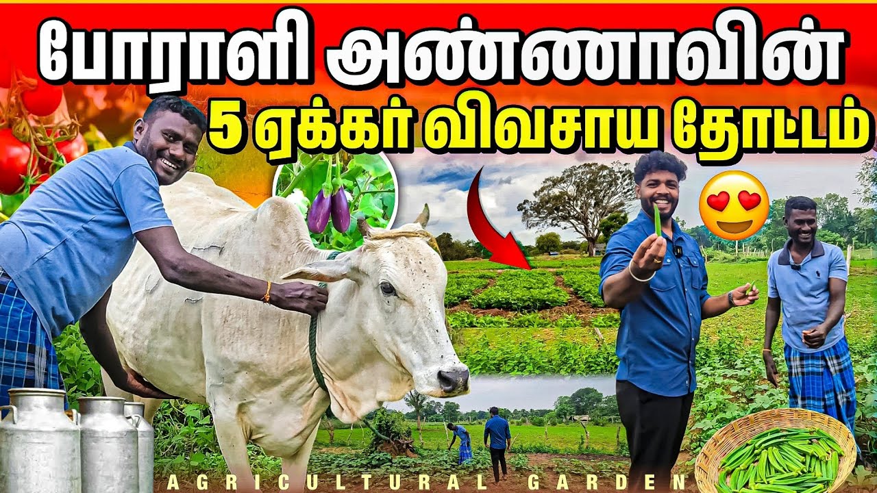 போராட்டத்தின் பின் எங்களின் வாழ்க்கை இதுதான்😱 | 5 ஏக்கர் விவசாய பண்ணை | Rj Tamizha 