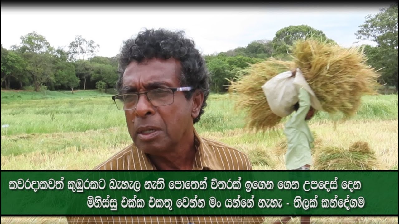 පොතෙන් විතරක් උපදෙස් දෙන කවරදාකවත් කුඹුරකට බැහැලා නැති මිනිසුන් ගැන කන්දේගම මහතා කියු කතාව