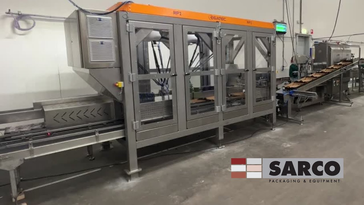 Sarco Packaging Egatec Robot Packer RP2