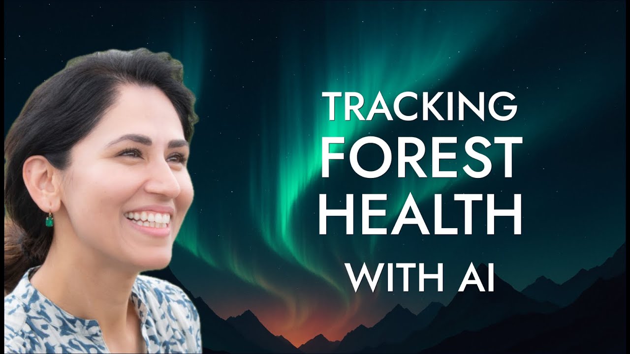 Satellites Failed. So Arti Dhar Used AI to Track 2 Million Trees.