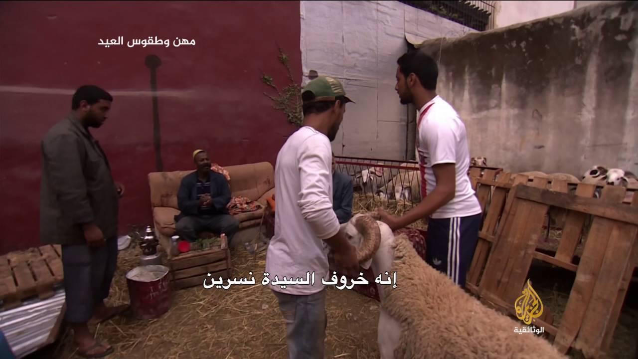 أ ماكن لكراء اضحية العيد  في المغرب