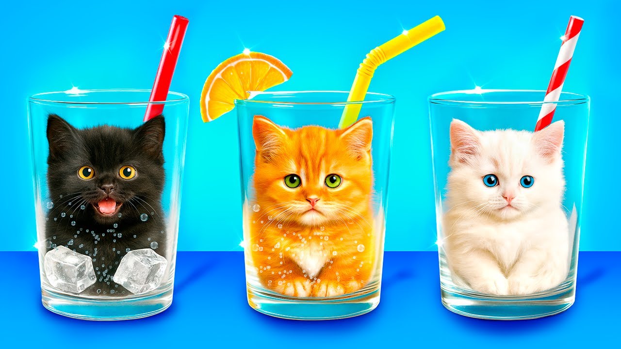 Best Pet Gadgets and Hacks! I Adopted a Pet!