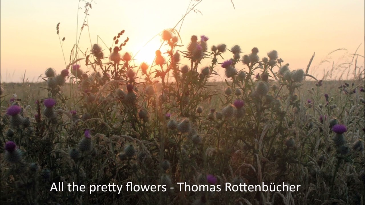 All the pretty flowers - Thomas Rottenbücher