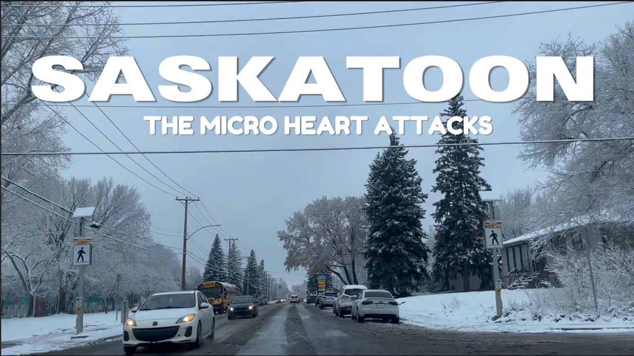 EXPERIENCED FIRST SNOW AND DRIVING IN SASKATOON CANADA!