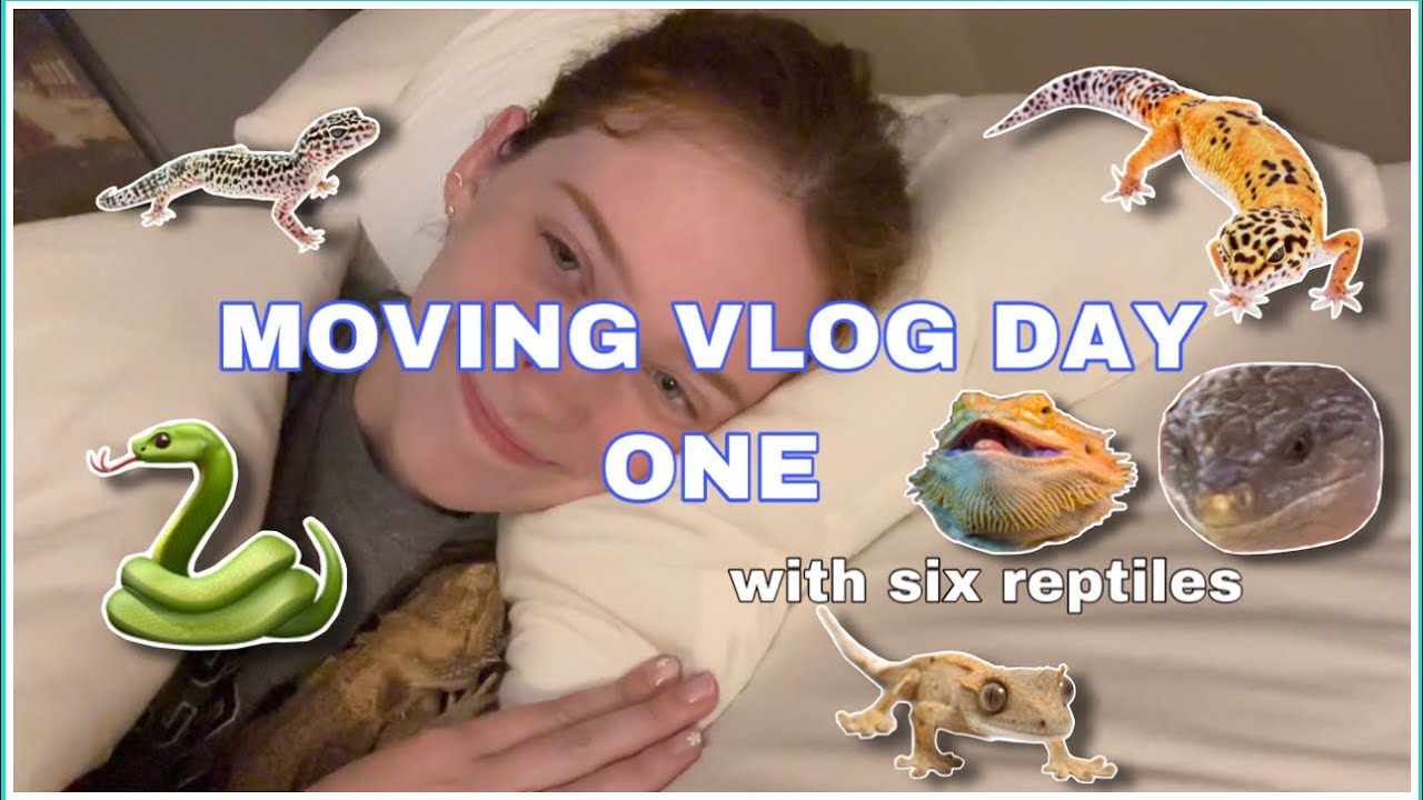 Moving My Reptiles 16 Hours Away | Kam’s Reptiles