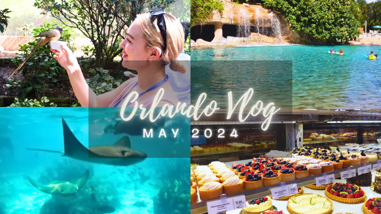 Orlando Vlog May 2024! | Discovery Cove | Whole Foods Supermarket