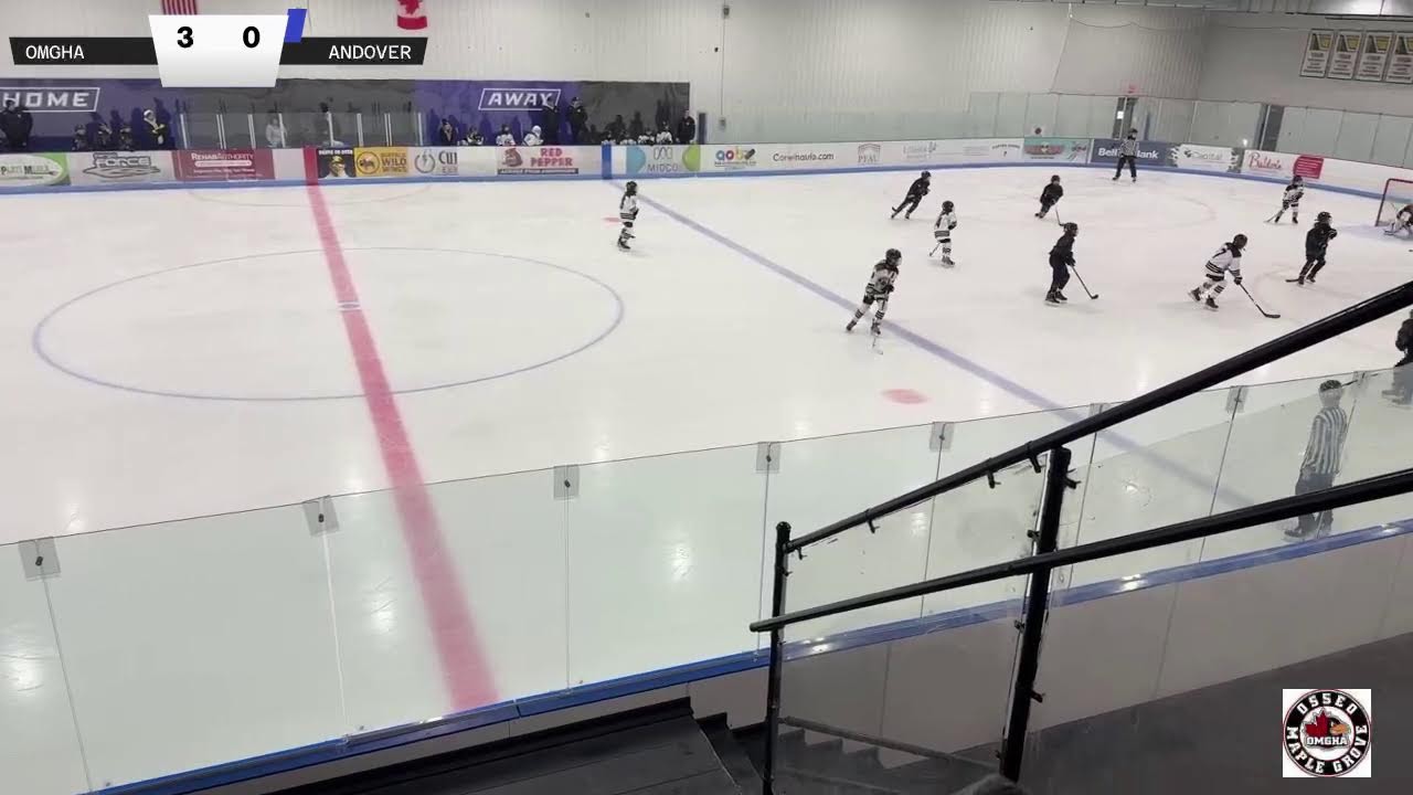 OMGHA U10 B1 v Andover