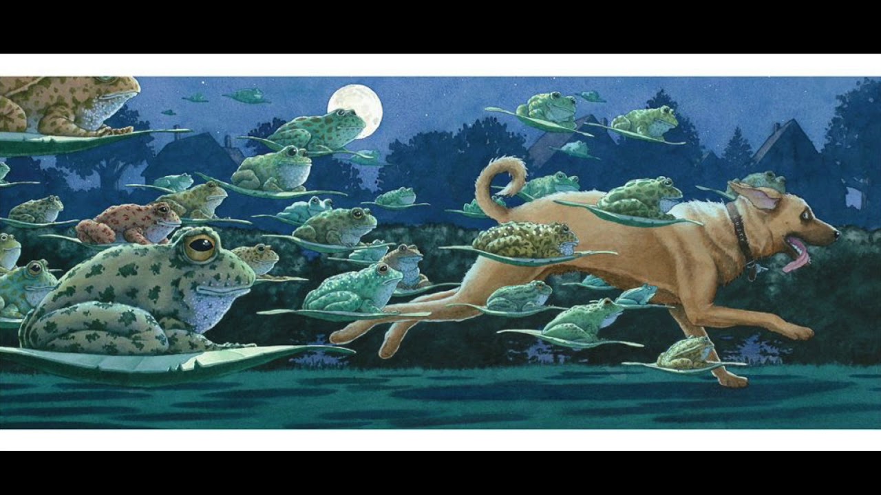 Tuesday by David Wiesner