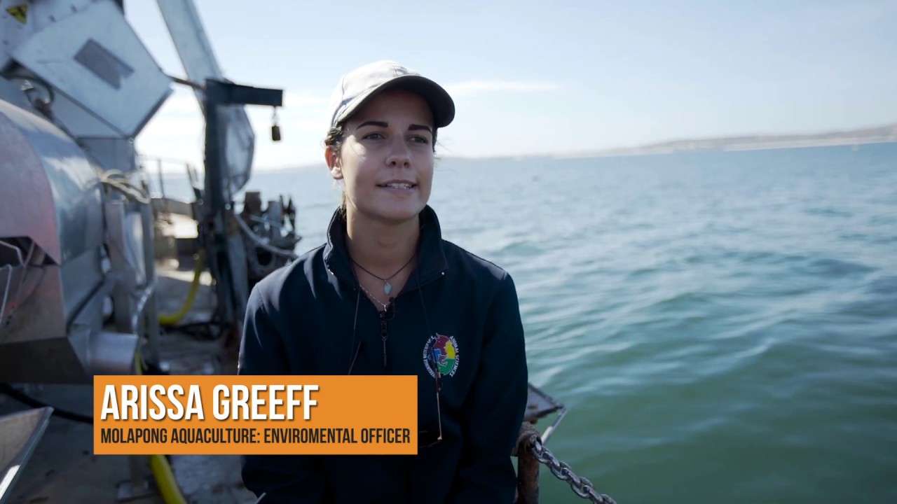 Aquaculture in South Africa: Trout