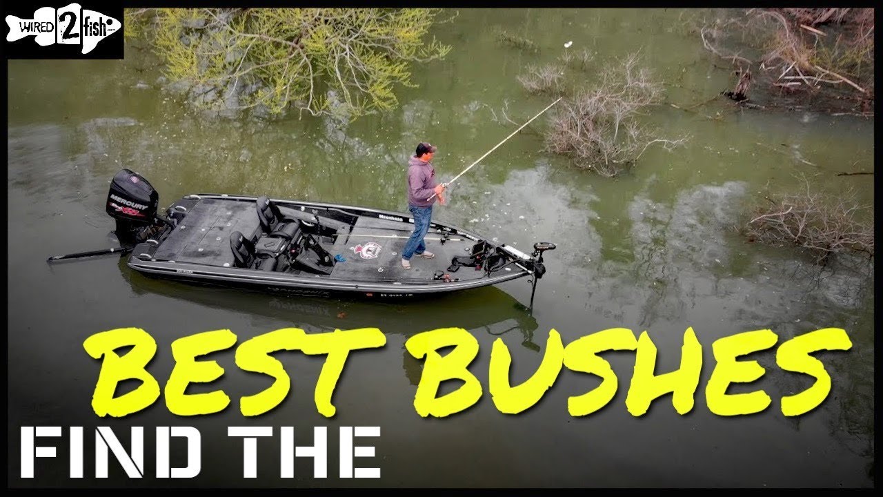 A Guide to Better Bush Flipping for Bass this Spring