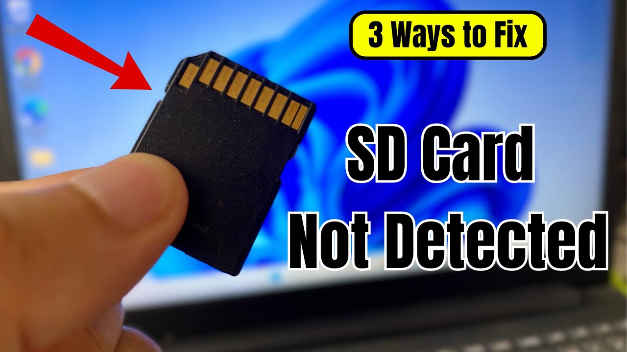 SD-карта не отображается в Windows 11 (3 способа решения)