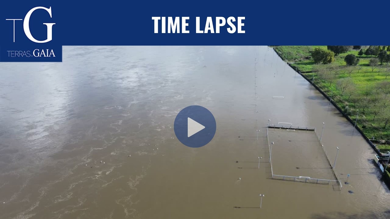 TIME-LAPSE | VERIFIQUE COMO SE ENCONTRA AS MARGENS DO RIO DOURO EM GAIA