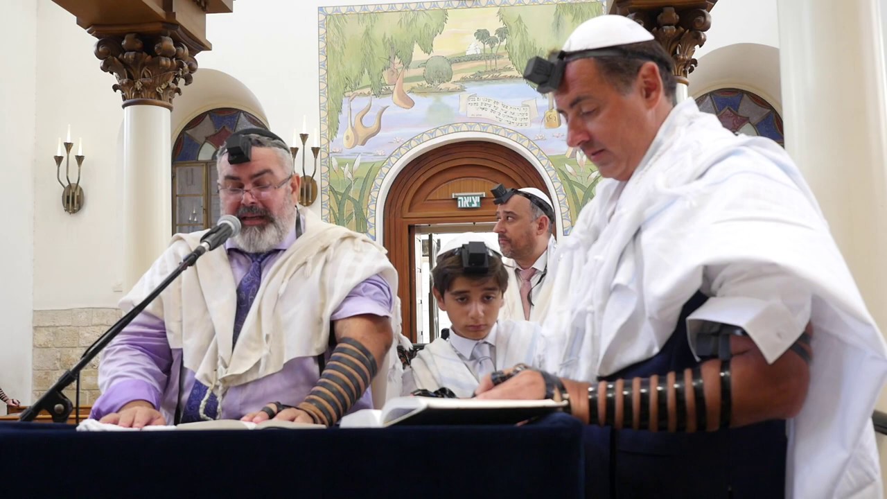 שמעון סיבוני - הלל | Shimon Sibony HURVA