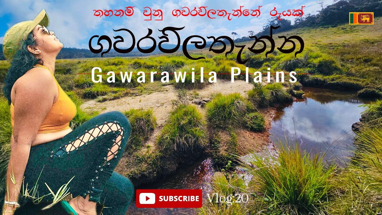 ගවරවිල තැන්න | Gawarawila plains තහනම් වූනු ගවරවිල තැන්නේ රැයක් Maskeliya Sri Lanka | Vlog 20