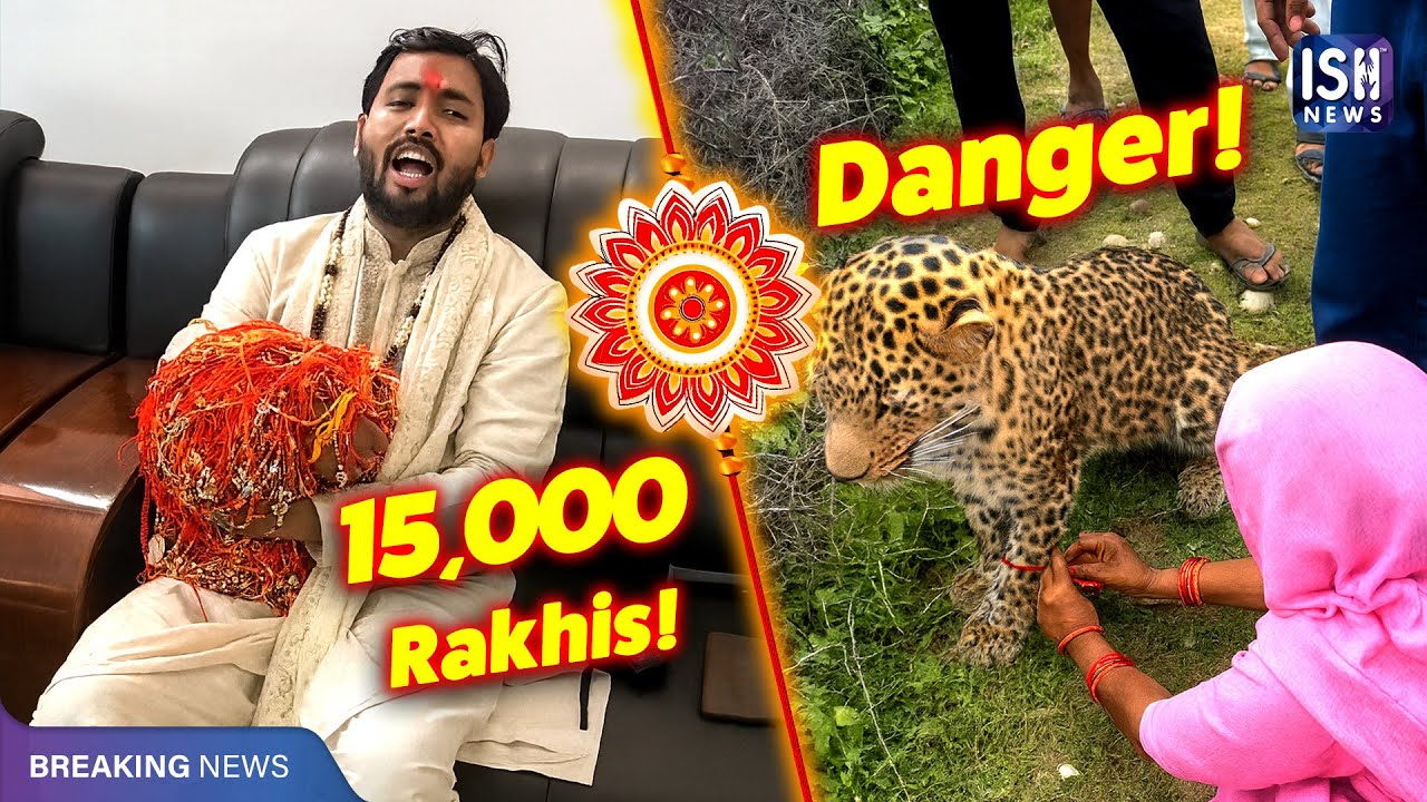 15,000 Rakhis & A Lion’s Parenting Escape | ISH News