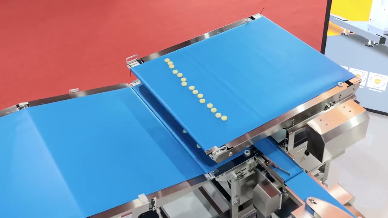 Sinking 1-to-2 Auto-Feeding Packing Line | Complete End-of-Line Solution