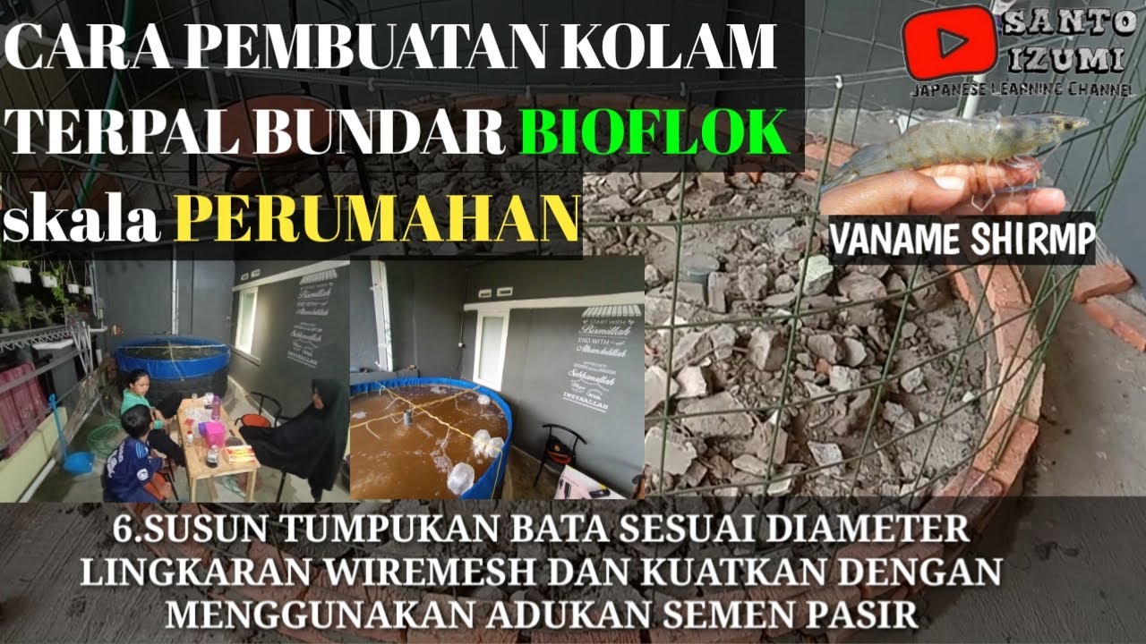 CARA PEMBUATAN KOLAM TERPAL BUNDAR SKALA PERUMAHAN || BIOFLOK SYSTEM