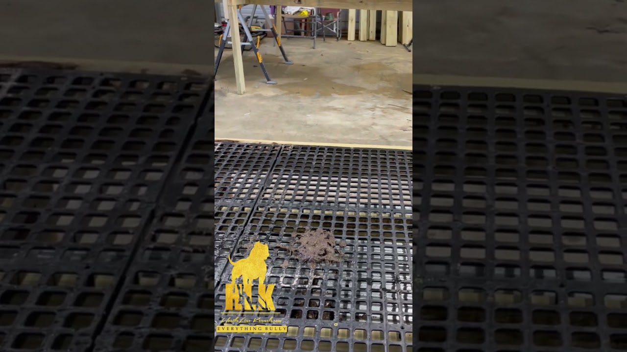 How do you clean our patent pending decking design. #outdoorkennels #outdoordogkennels