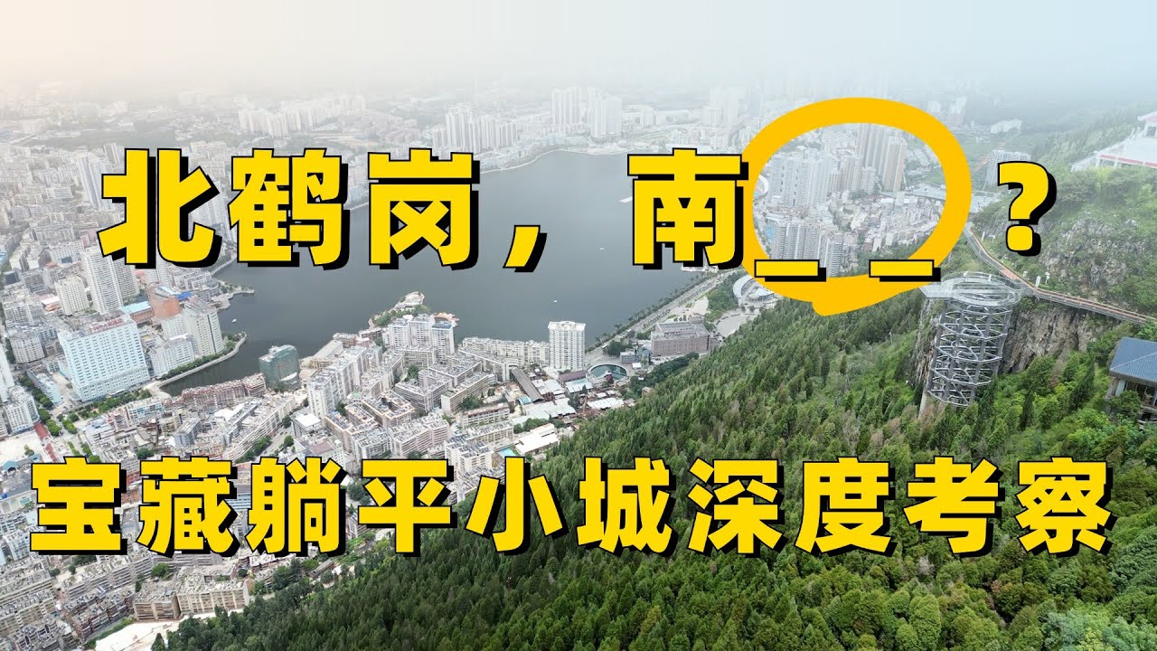 南方“鹤岗”，被严重低估的宝藏小城，3000美刀一套房考察~