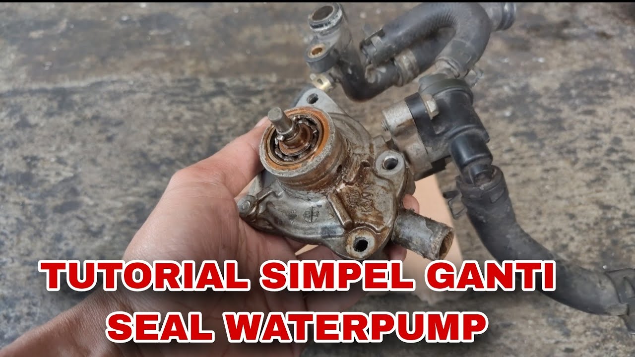 TUTORIAL SIMPEL CARA MENGGANTI SEAL WATERPUMP ATAU MECHANICAL VARIO VCX ADV