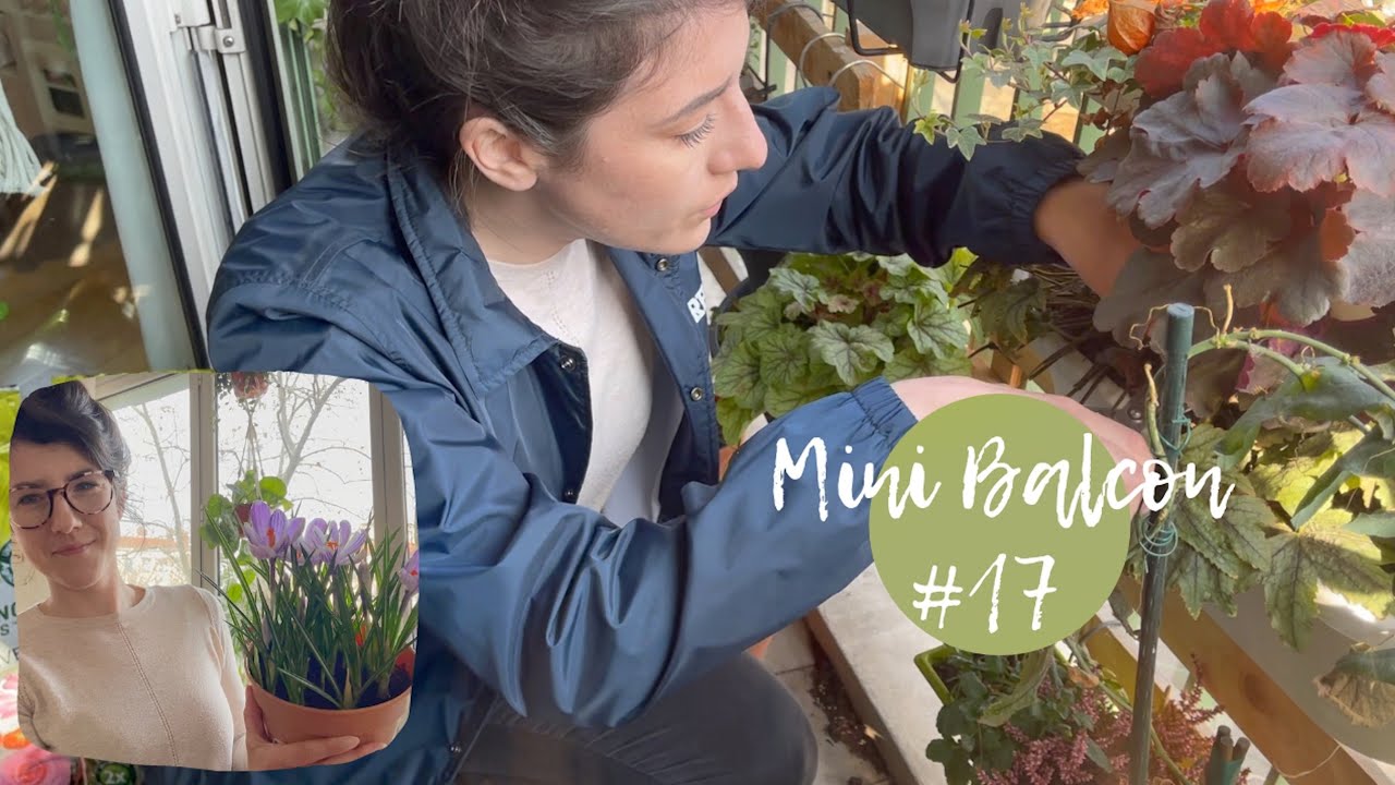 Le printemps est là (& sélection Lecture) - Mon mini balcon #17