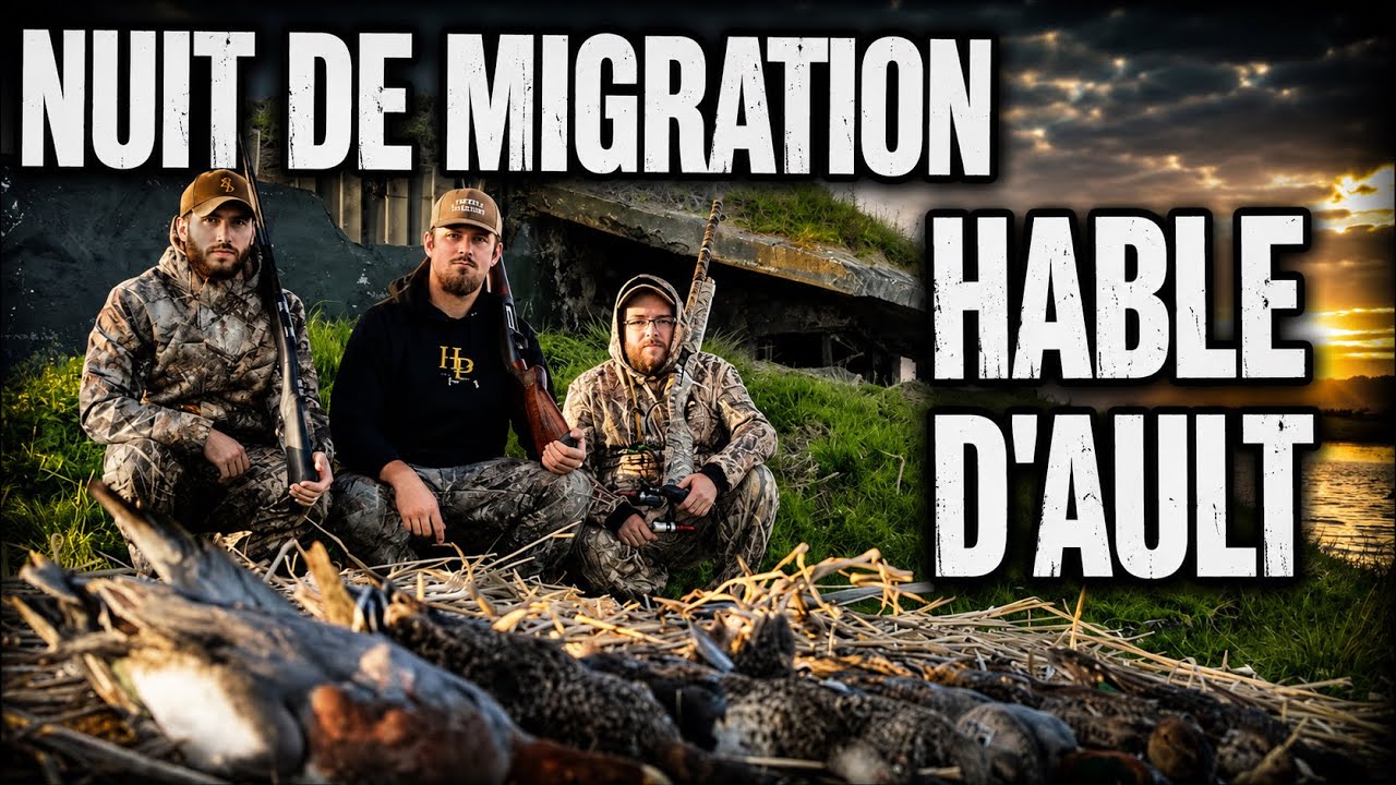 Nuit de migration au Hable d'Ault ! - ( Romain Chasse Passion )