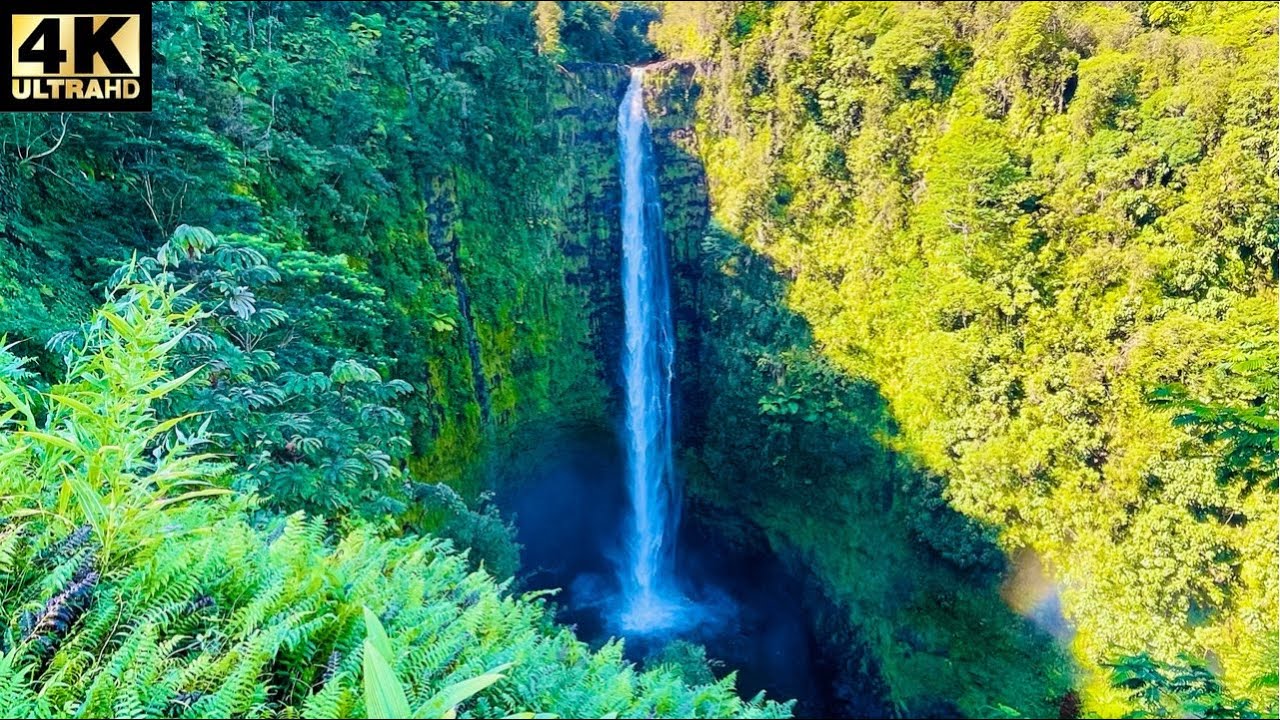 Hike to Akaka Falls Big Island Hawaii
