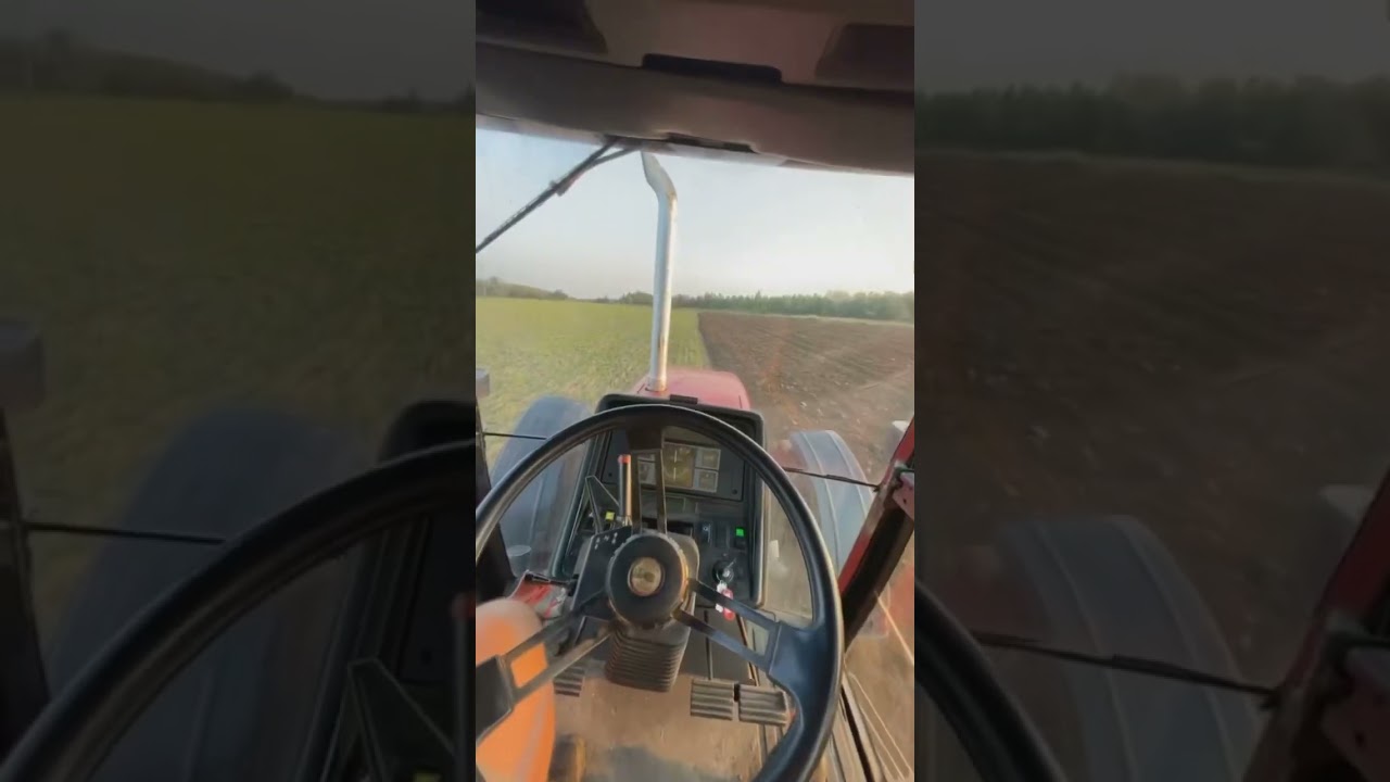 Oooreczka Case 5140🚜 #oporowo #2024 #case #siewy #orka #jesień