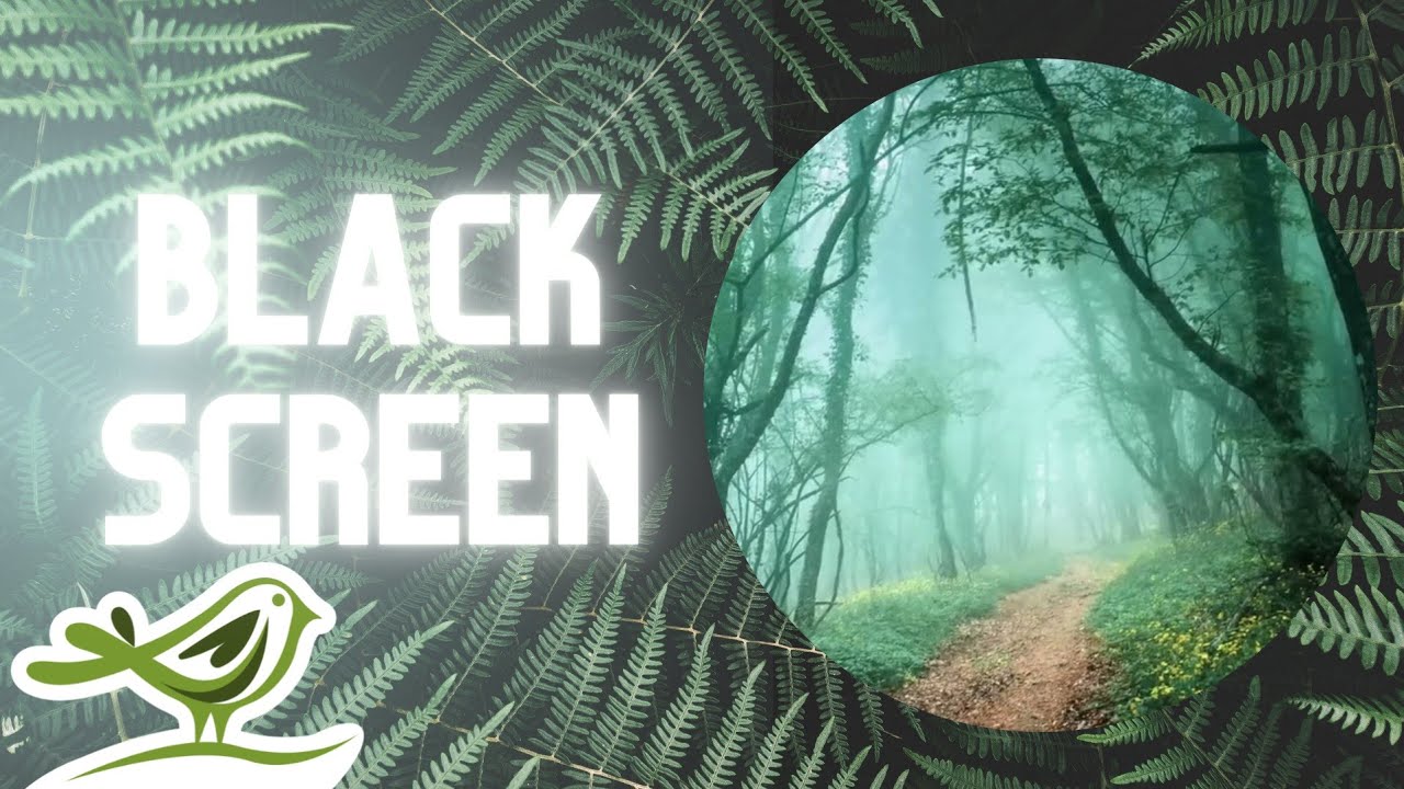 [NO ADS] Ancient Forest | Rain Sounds & Relaxing Fantasy Music for Sleep with Black Screen