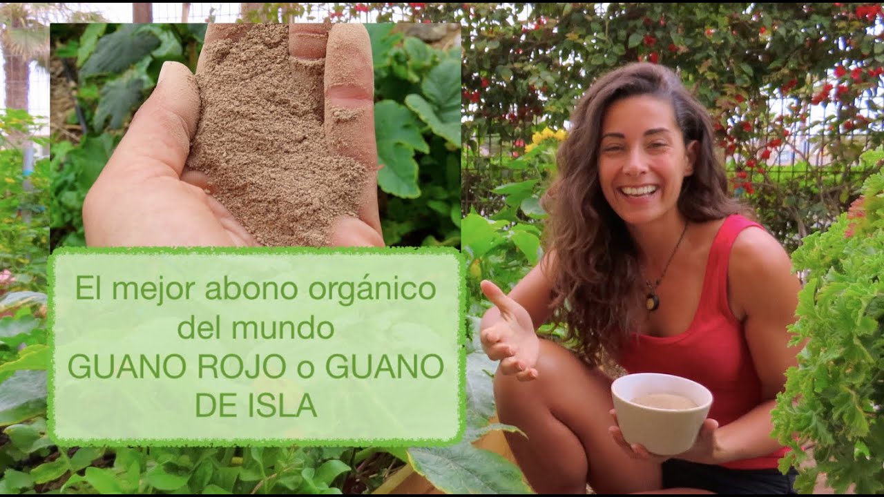 Que es y como usar el GUANO ROJO o GUANO DE ISLA