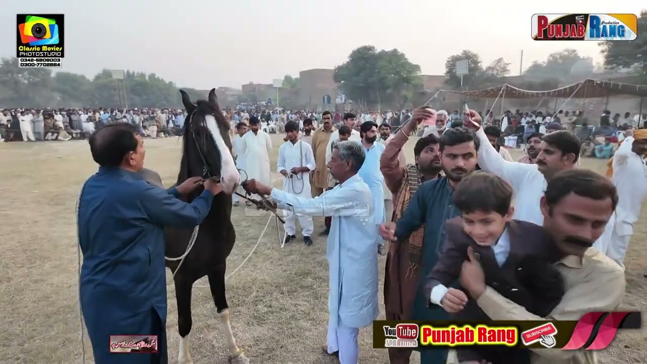 Nazar e Karam l Mithoo l Ghulam e Farid l Horse Dance13 November 2025 l Arkana Waseeran