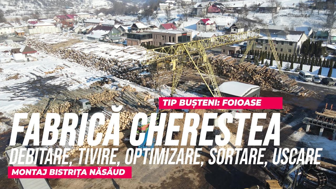 Linie producție cherestea foios complet automatizată