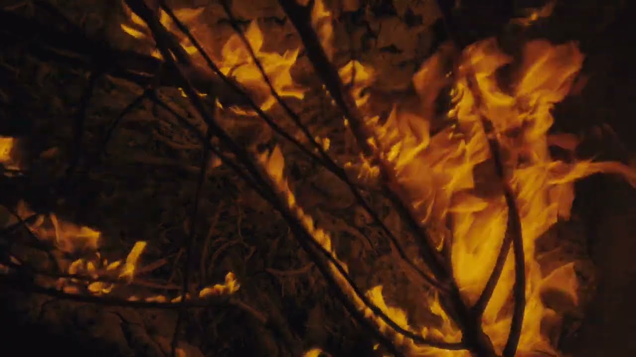DELLAFUENTE, Maka - Supersaiyan
