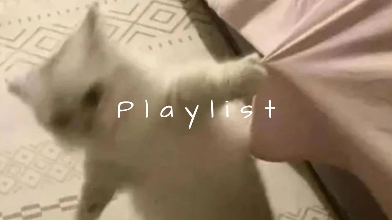𝐏𝐥𝐚𝐲𝐥𝐢𝐬𝐭 연휴 시작이야 이거놔, 나 지금 세상에서 제일 행복하니까 ✨ | chill r&b · moody