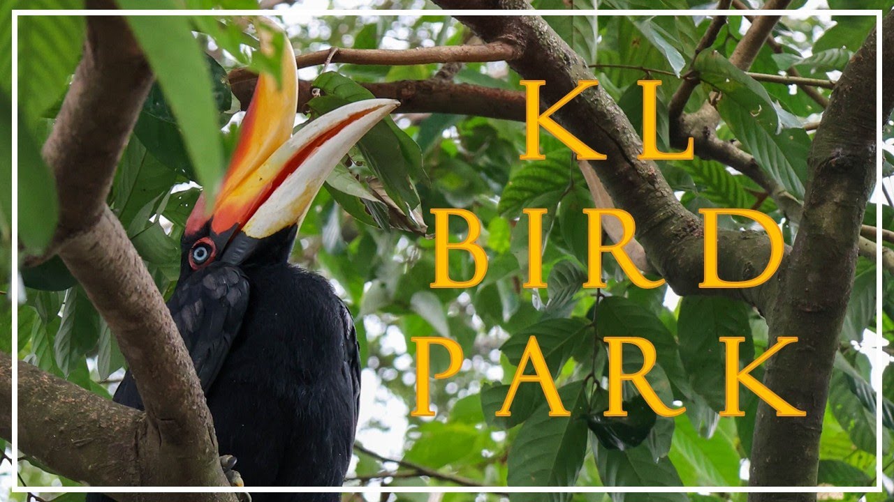 KL Bird Park