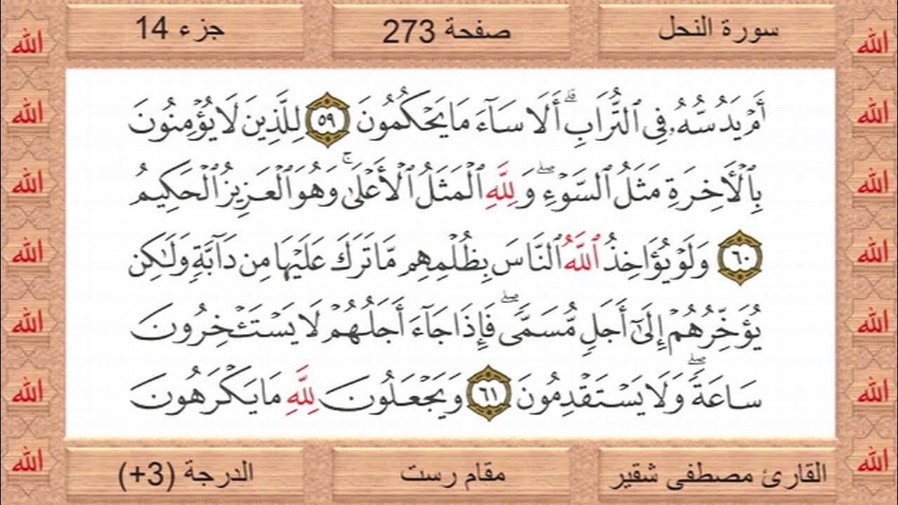 القرآن الكريم (الجزء الرابع عشر)- القارئ مصطفى شقير - Quran (Juz' 14) - Reciter Mostafa Chokeir