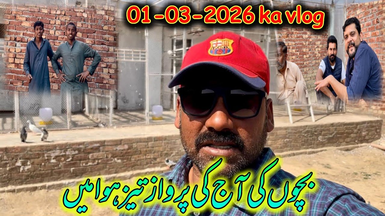 01-03-2026 ka velog taiz hawa mai bachon ki parwaz li👍// Ustad ch kamran 